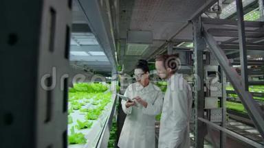 现代科学家在素食产品的现代生产中从事基因工程。 现代农场